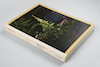 Raimond Wouda — Polder VIII, Tuindorp Oostzaan, Amsterdam 1920-2020  21 x 28 centimeter / 256 pages / colour / bilingual (tweetalig): NL + EN / Texts by Anneke van Veen, Paul Teunissen and Raimond Wouda / Design by hans Gremmen / edited by Frank van der Stok / isbn 978-90-831658-1-3 